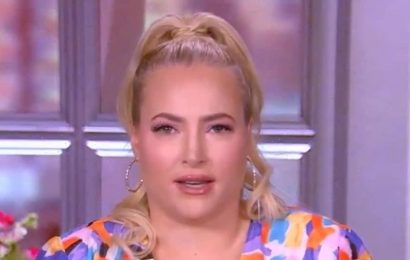 'The View': Meghan McCain Urges NYC Pride Parade to Allow Uniformed Police to March