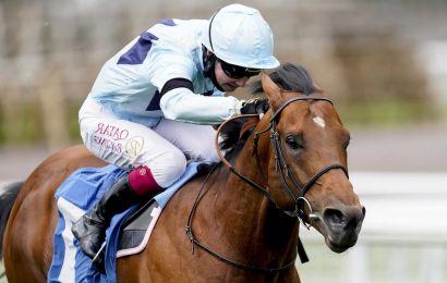 Top sprinter Starman 'in good nick' and set to return to action in the July Cup at Newmarket