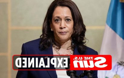What did Kamala Harris say during her Lester Holt interview?