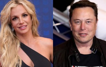 Elon Musk tweets Britney Spears support amid her ongoing conservatorship battle in court