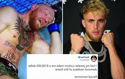 Jake Paul buys $100k custom diamond necklace of Conor McGregor KO'd on floor after brutal Dustin Poirier UFC 257 defeat