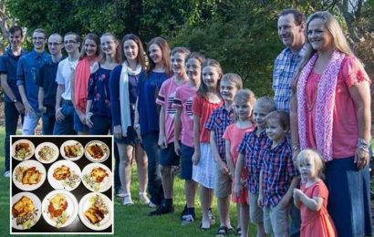 Mum-of-16 shows off family's whopping mid-week dinner – consisting of four KILOS of lasagne and a mega sald