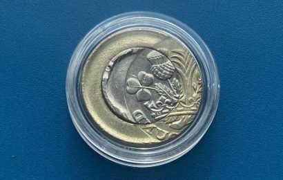 Rare error £1 coin sells for £410 on eBay – how to check if you have one at home