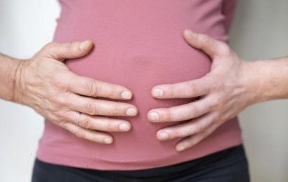 Surrogate who bore a baby for couple launches legal battle for custody