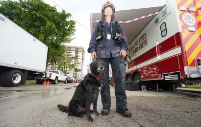 ‘His most heartfelt job’: Handler details key role of dogs at Florida building collapse site