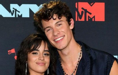 Cinderella’s Camila Cabello Says BF Shawn Mendes Can’t Be Prince Charming