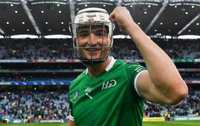 Hurler of the Year 2021: Contenders for the top individual award ahead of the All-Ireland final