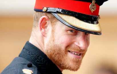 Prince Harry Shares His Thoughts About The Situation In Afghanistan