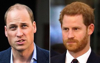 Prince William, Prince Harry still have a ‘pretty difficult’ relationship despite reunion, royal expert claims