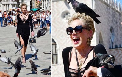 Sharon Stone’s high-fashion Venice photo shoot interrupted by pigeons