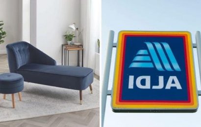 ‘Luxurious Aldi’: Discounter launches chaise longues – customers could save £350