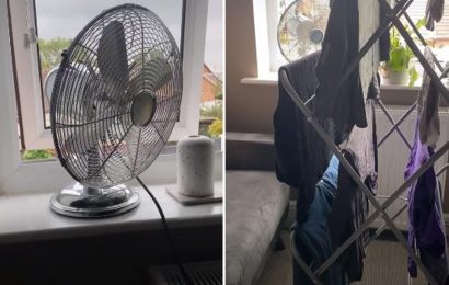 Cleaning fan reveals easy hack to dry clothes faster and leave them smelling fresher inside the house during winter