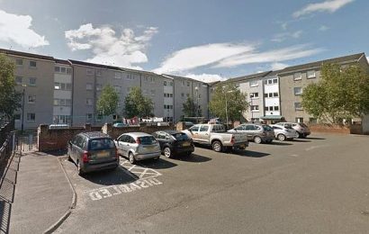 Girl fighting for life after falling 40 feet from block of flats