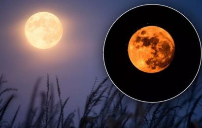 Harvest Moon meaning: Why September’s full moon looks bigger and more orange than normal