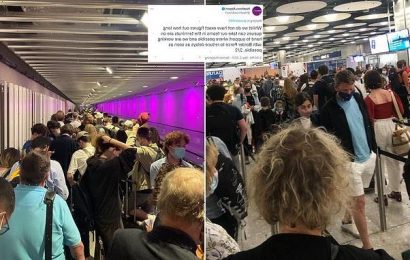 Heathrow meltdown continues as passengers wait for HOURS
