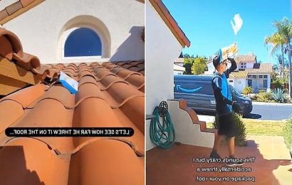Hilarious moment delivery driver accidentally throws package on roof