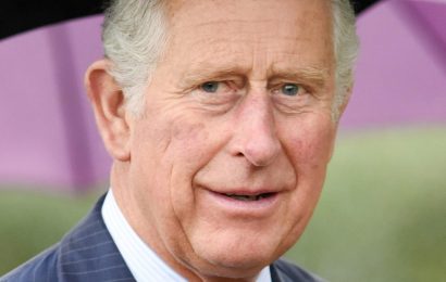 Royal Expert Explains Why Prince Charles Might Not Want To Be King