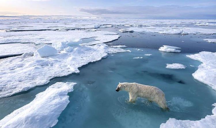 A look through photography’s cold eye on our melting world