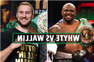 Dillian Whyte vs Otto Wallin: Date, UK start time, live stream, TV channel, undercard for huge O2 heavyweight fight