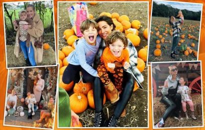 How celebs are all going crazy for pumpkins this Halloween with 17m to be sold in Britain