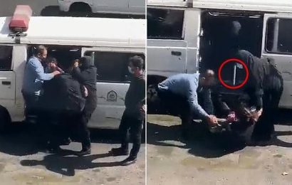 Iran cops use dog catching pole to arrest woman for being &apos;insulting&apos;