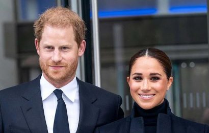 Meghan Markle: Prince Harry and I Were 'Overwhelmed' After Lili's Birth