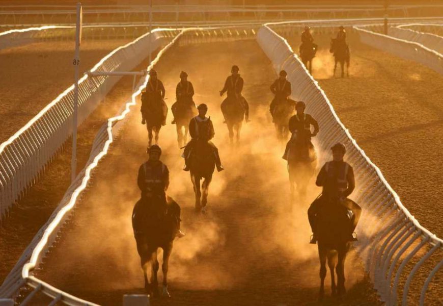 Melbourne Cup thrown into chaos just one week out as strict new system to prevent deaths breaks down