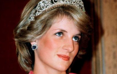 'Priceless' Princess Diana heirloom 'to go to granddaughter Charlotte' instead of Lilibet Diana