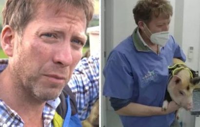 The Yorkshire Vet’s Julian on struggles of filming with animals ‘Doesn’t go to plan’