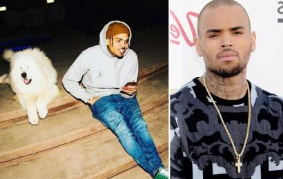 Chris Brown's 'dog bite victim's' family demand over $1M in damages after claims pet ‘ripped chunks off face' in attack