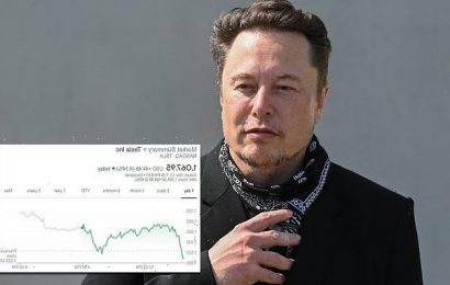 Elon Musk sells $1.1 BILLION worth of Tesla shares to cover taxes