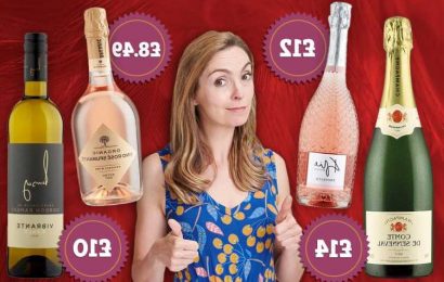 I’m a wine expert – and here are the bargain bottles you need to buy from supermarkets like Aldi and Lidl