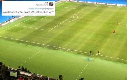'Nice 5-a-side pitch' – Fans distracted by Spain's massive technical area during World Cup qualifying win over Sweden