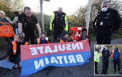 Officers swoop on Insulate Britain activists before they get onto M25