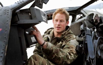 Prince Harry had never used these everyday household items before joining the military at the age of 20, expert claims