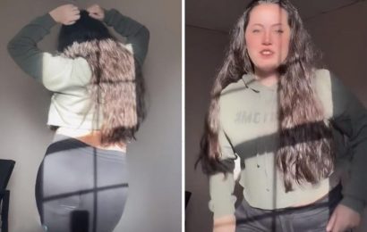 Teen Mom Jenelle Evans shakes her butt in new TikTok after husband David is arrested & her clothing line is dropped