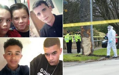 Teenager, 19, who killed five when he crashed stolen car back driving