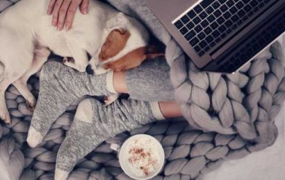 The 9 Softest and Coziest Finds in the Nordstrom Black Friday Sale