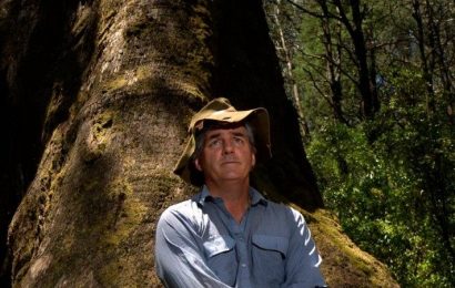 Timber advocates use freedom of information to access emails from scientist and journalists