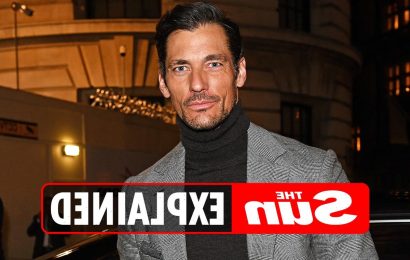 Who is David Gandy? Model and Mollie King’s ex now dating barrister Stephanie Mendroros – The Sun