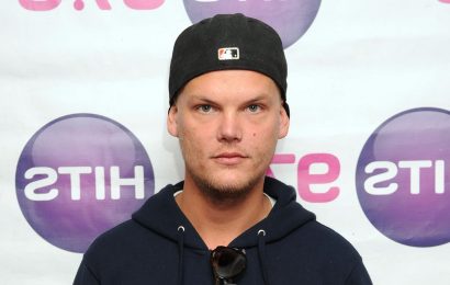 Avicii's Last Words Before 2018 Death Revealed in Letters to 'Future' Self