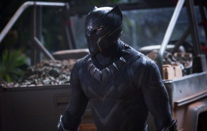 Chadwick Boseman’s Brother Approves of Campaign to Recast T’Challa in ‘Black Panther’