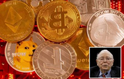 Cryptocurrencies should never have been invented – they’re even crazier than dot com meltdown, warns famous investor