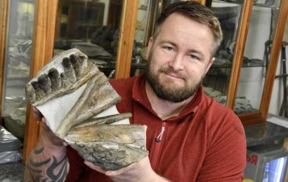 Day tripper stunned after finding 200million-year-old ocean monster's jawbone in Yorkshire