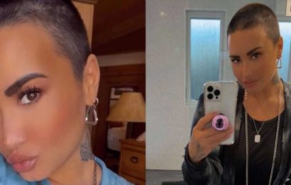 Demi Lovato Shaved Their Head for a "Fresh Start" and Twitter APPROVES