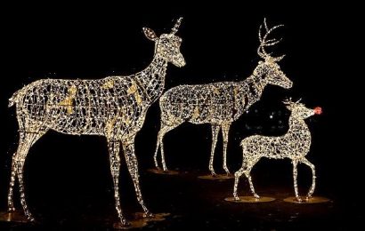 &apos;Despicable&apos; Grinch steals wreaths and illuminated festive reindeer