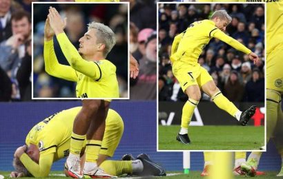 Leeds could face FA probe after Sergi Canos appeared to be hit by object after scoring Brentford’s second at Elland Road