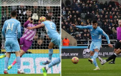 Newcastle 0 Man City 4: Leaders secure Christmas No1 spot as Cancelo scores pick of goals after Dias gifted early opener