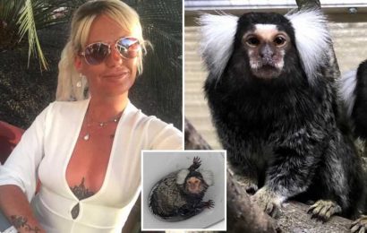 Sick mum tortured pet monkey 'Milly', tried to make it snort cocaine & tried to flush it down loo