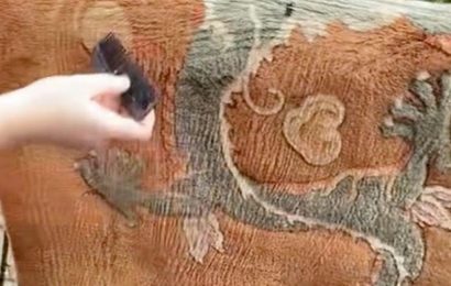 Students wash old rug in the bathtub and it’s ‘never been cleaned’ before